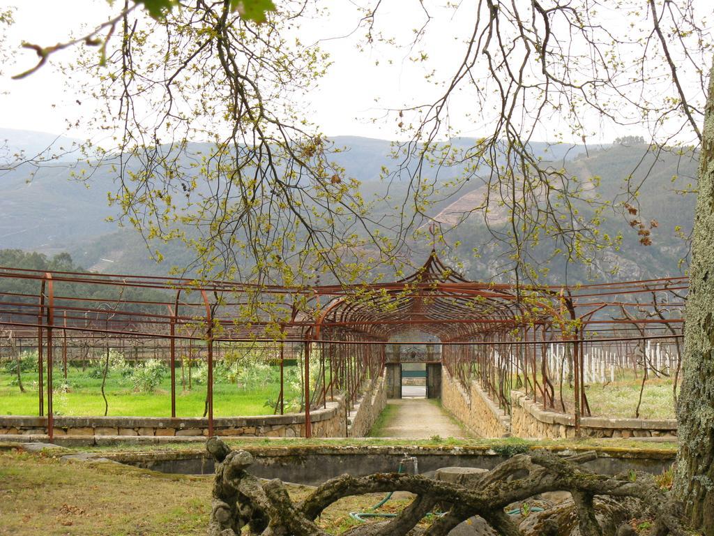 Vila Guiomar - Casa Da Eira Alvarenga Exteriér fotografie